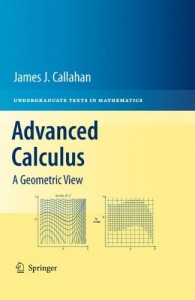 Advanced Calculus, A Geometric View-James J. Callahan-526pd9mb